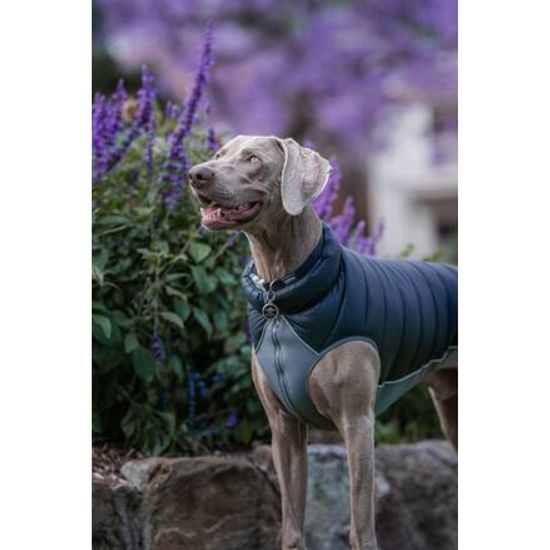 Red Dingo Puffer Jacket Černá / Šedá velikost bundy 35 cm