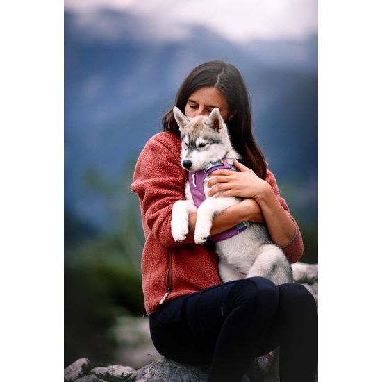 Woolly Wolf Alpha 360 Harness