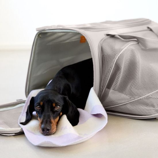 PALOPA Travel Carrier Bag Benno taupe