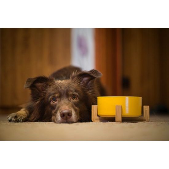 Aminela keramická miska v dřevěném stojanu žlutá 750ml