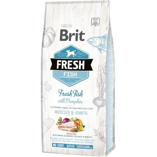 Brit Fresh Adult Large Fish with Pumpkin 12 kg