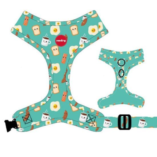 Reedog Kšíry pro psa BREAD