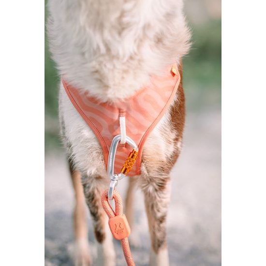 Woolly Wolf Roam Harness