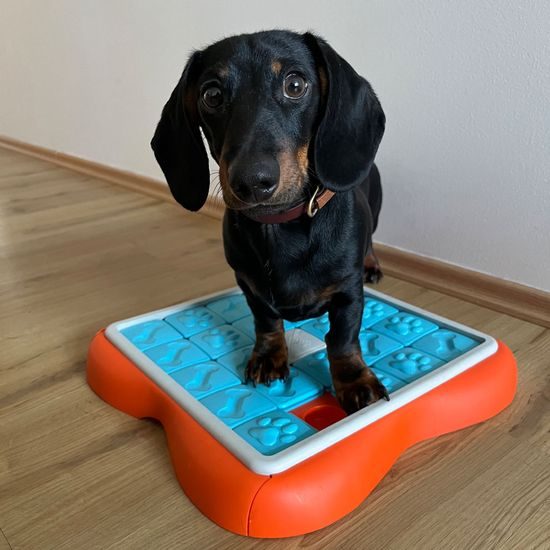 Nina Ottosson Pamlskový hlavolam