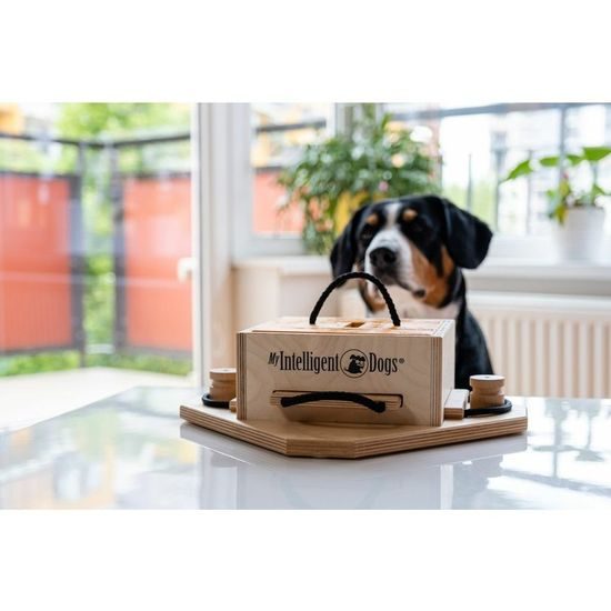 My Intelligent Pets Dřevěný hlavolam Trouble/obtížnost 1-4