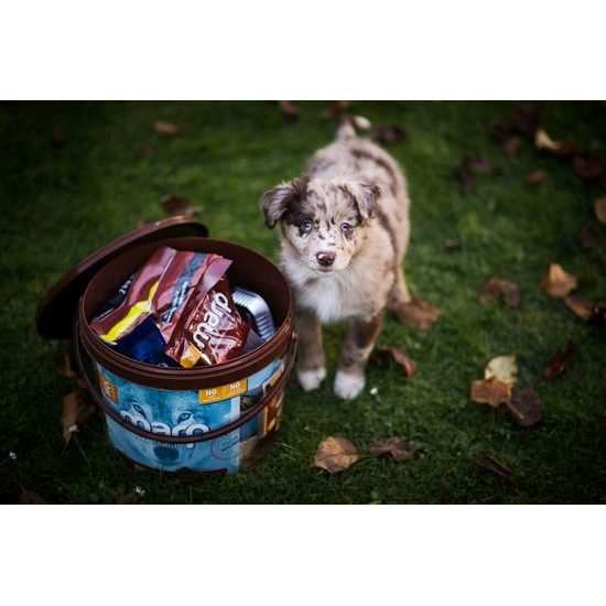 Štěněčí balíček s krmivem 1ks