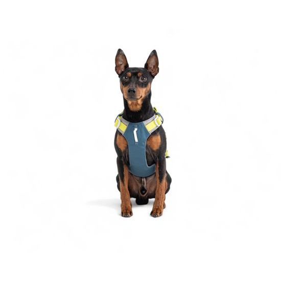 Woolly Wolf Alpha 360 Harness