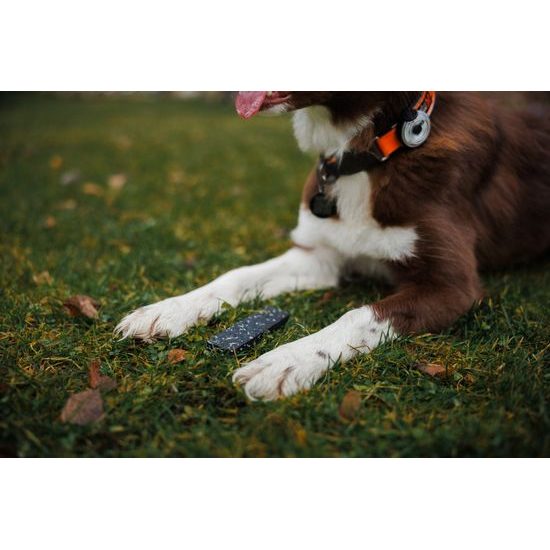 Løype Předměty na stopy Snoops