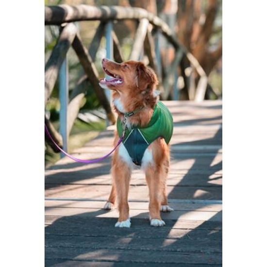 Red Dingo Puffer Jacket Zelená / Limetková velikost bundy 50 cm