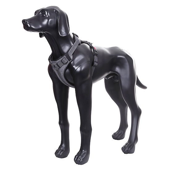 Rukka Star postroj polstrovaný reflexní