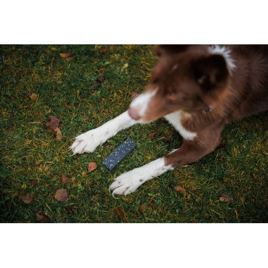 Løype Předměty na stopy Snoops