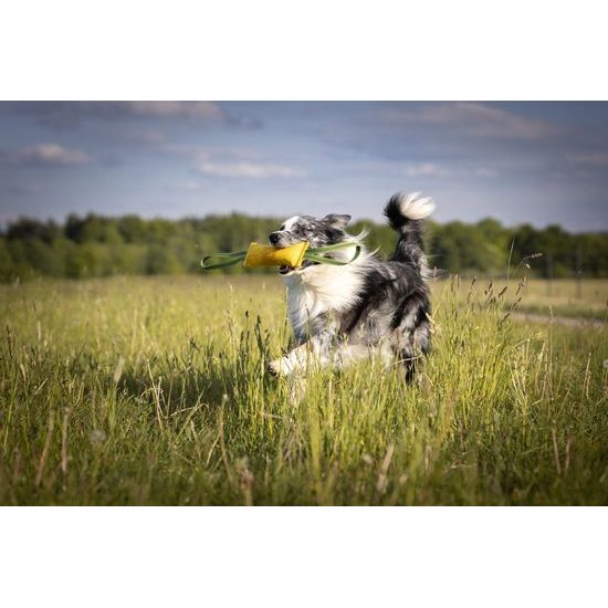 BAFPET Pešek RINGO 2x ucho žlutá