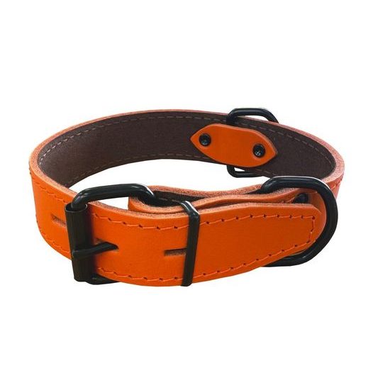 BAFPET Obojek HERRY obšitý černé kování oranžová