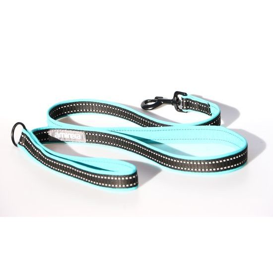 Aminela jednoduché vodítko podšité Sport & City 25mm/150cm tyrkysová