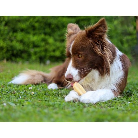 Marp Holistic Horská tyčinka L (70-79g)