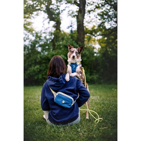 Woolly Wolf Alpha 360 Harness