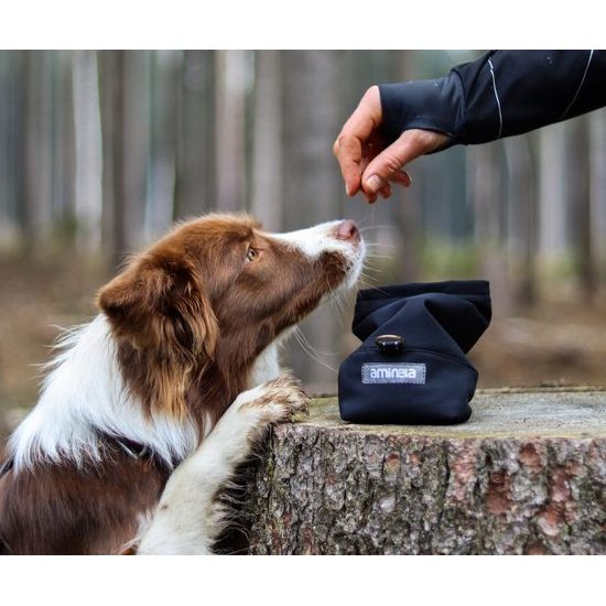 Aminela pamlskovník černý