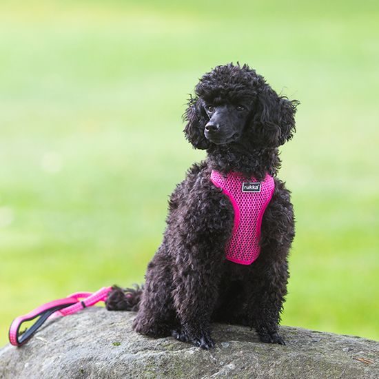 Rukka Comfort Air postroj