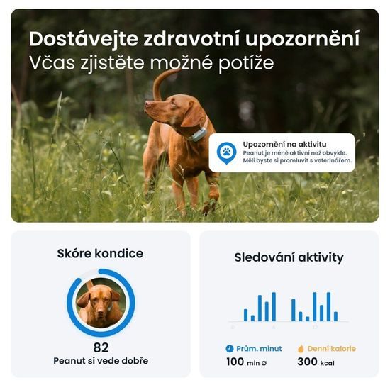 Tractive DOG 6 - GPS lokátor a a monitor zdraví pro psy