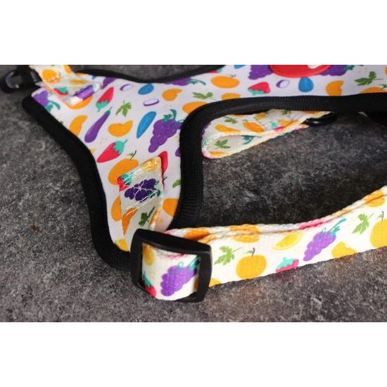 Reedog Kšíry pro psa FRUIT