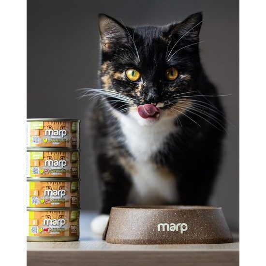 Marp Holistic Plus konzerva pro kočky Kuřecí paté s hovězími kousky 24x70g