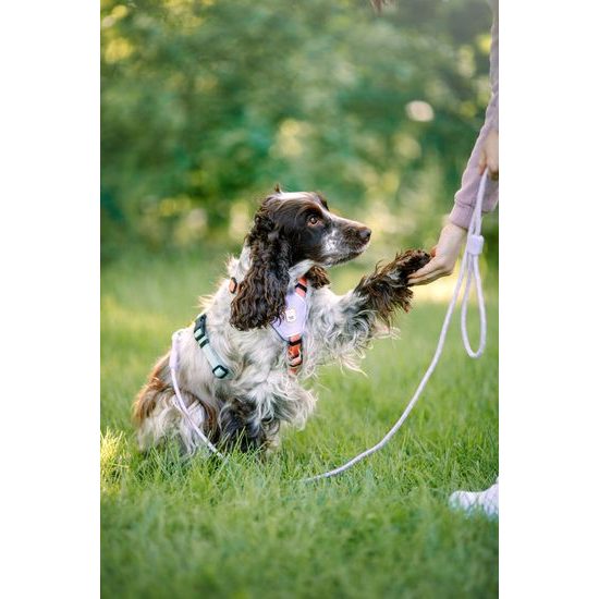 Woolly Wolf Rope Leash