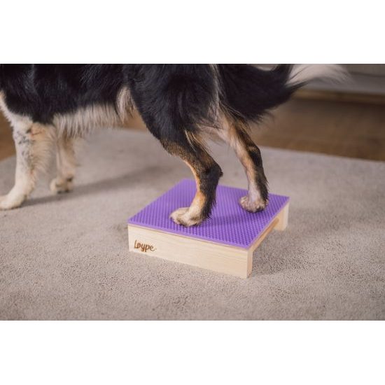 Løype Target Hamtal Markfit