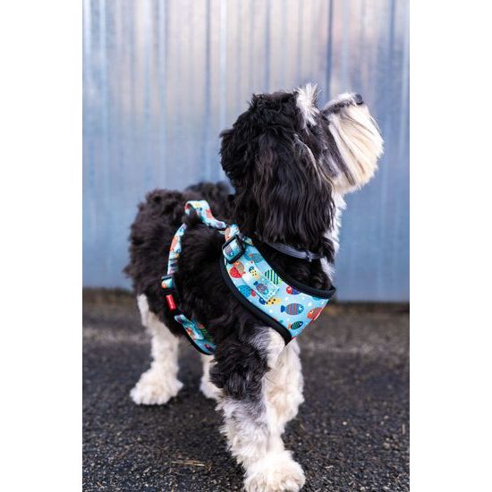 Reedog Kšíry pro psa FISH