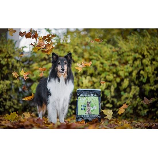 Doxneo Lamb jehněčí bez obilovin 2kg