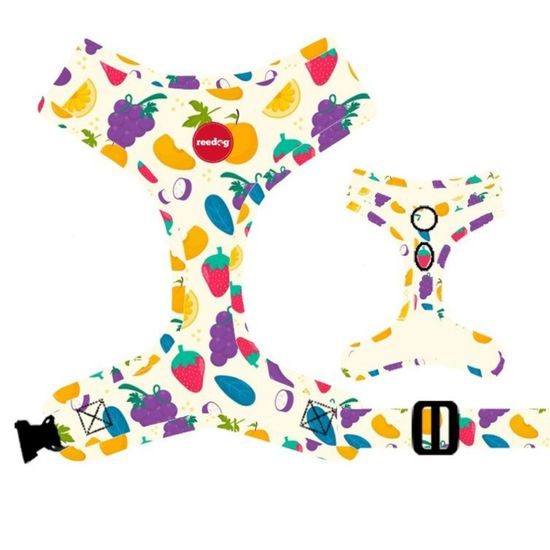 Reedog Kšíry pro psa FRUIT