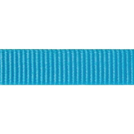 Red Dingo Vodítko SuperLead 15 mm x 1,8 m Tyrkysová