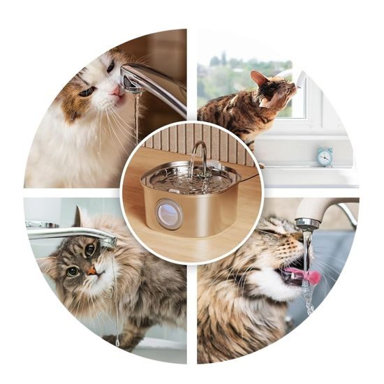 Petwant Automatická fontána PWS-155B