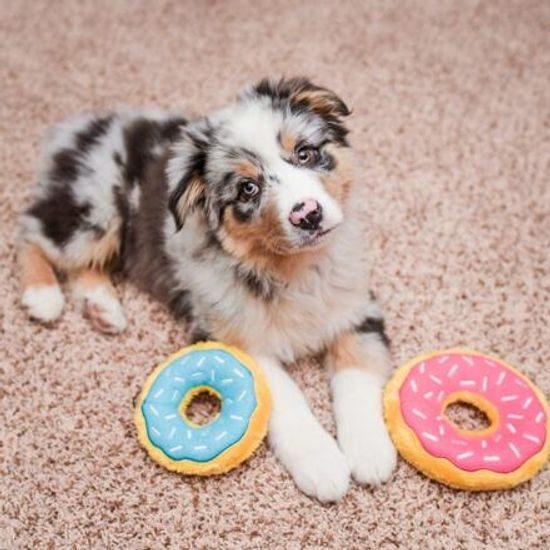 ZippyPaws Mini Donutz