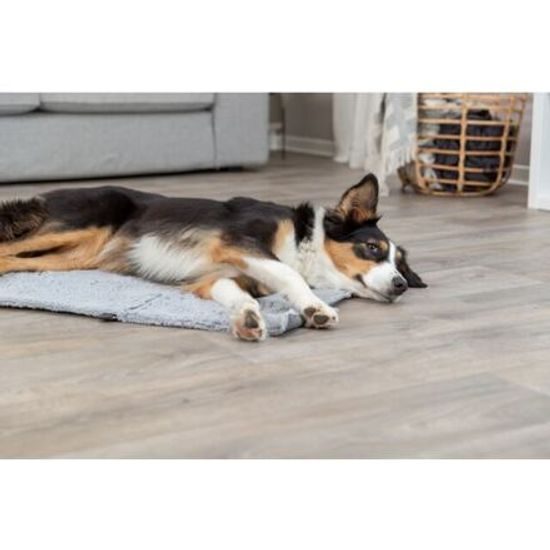 Trixie Cestovní deka AMY