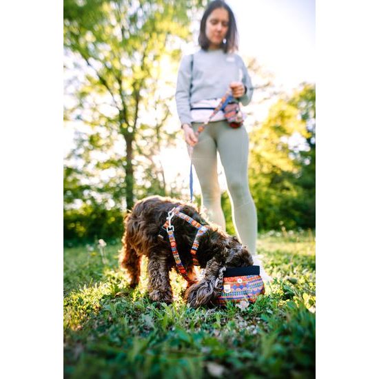 Woolly Wolf Nightless Night Harness