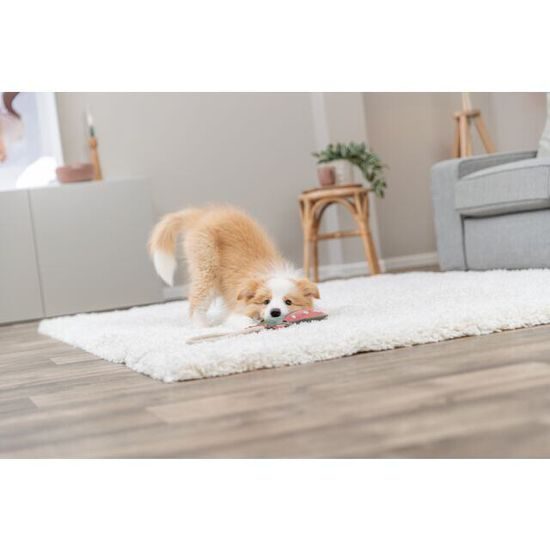 Trixie Dragon dráček na laně 55 cm hračka pro psy 100% pravá kůže/lano zelená