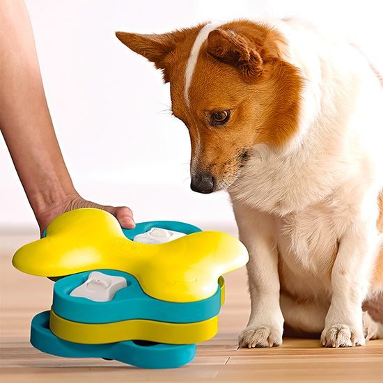 Nina Ottosson Pamlskový hlavolam