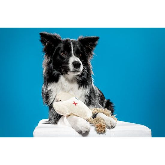 FUNKY DOG Slintoš ušatý přírodní hračka pro psa