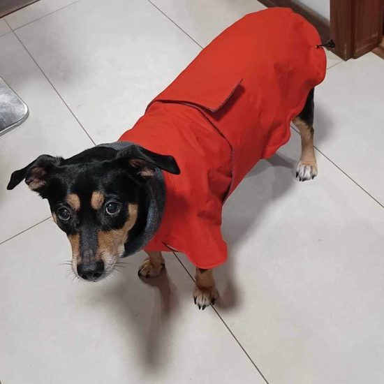 FUNKY DOG Pláštenka pro psa Červená barva