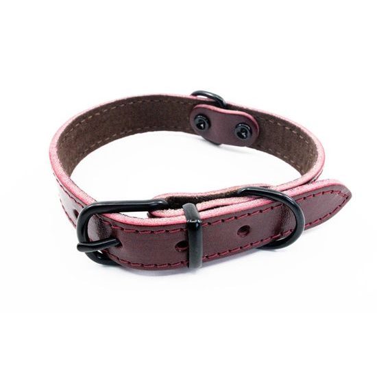 BafPet Kožený obojek ARGUS černé kování bordó