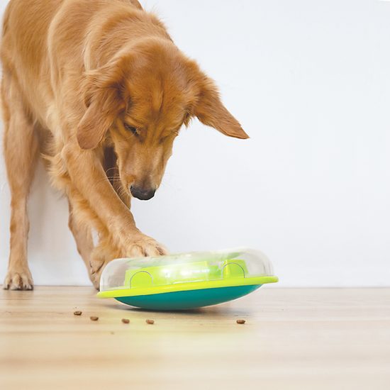 Nina Ottosson Pamlskový hlavolam