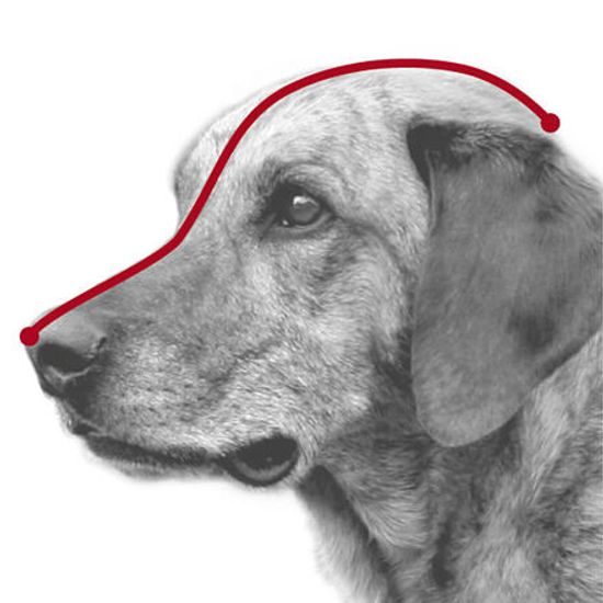 Trixie Plastový náhubek