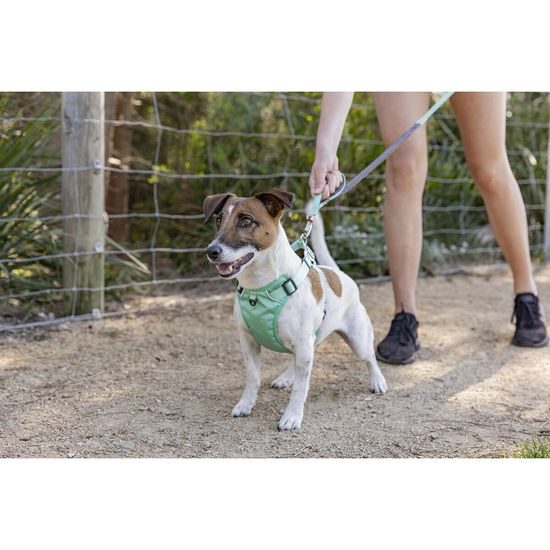 Red Dingo vodítko SuperLead Running Pastel Green 25 mm x 2,25 m