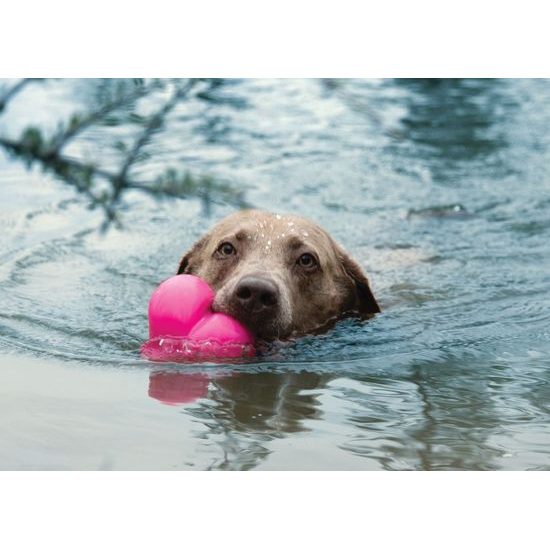Ruff Dawg nezničitelná hračka pro psy srdce 10,16cm pro velké psy nad 18 kg