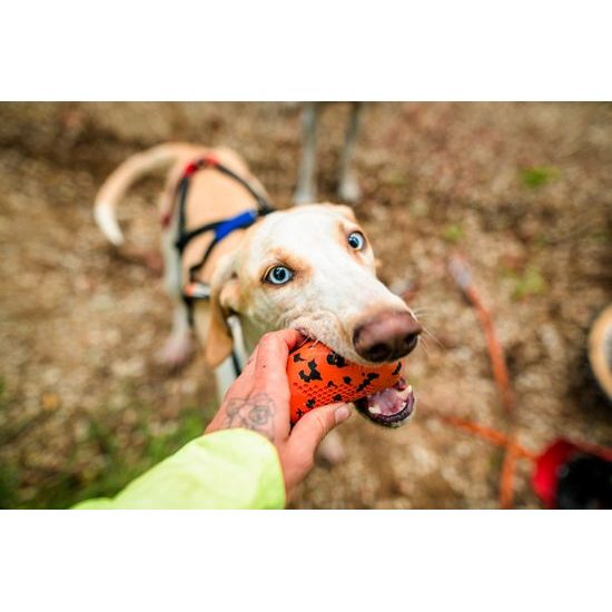 Non-stop dogwear Hračka Dog throw toy