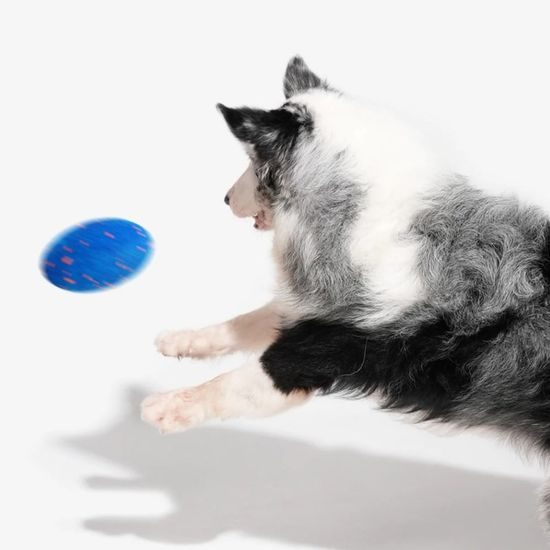 Cheerble Wicked Rugby