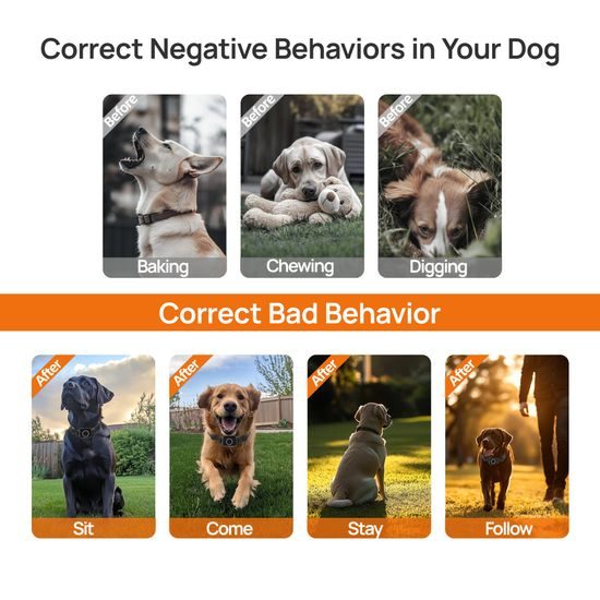 Patpet Bezdrátový ohradník a výcvikový obojek pro psy T800 Pro