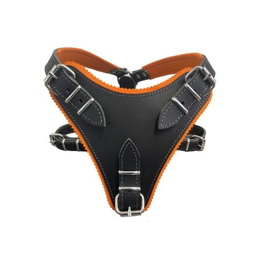 BafPet Speciální postroj na obranu s uchem černá