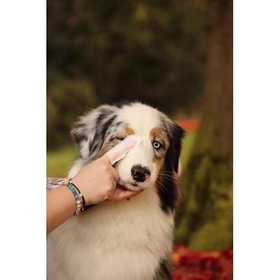 Aminela ubrousky na oči a uši 50ks