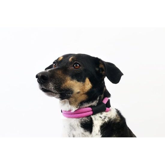 Aminela Obojek lano s kůží černé kování růžová